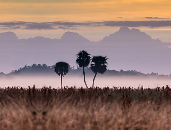 Lake Okeechobee