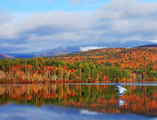 New Hampshire