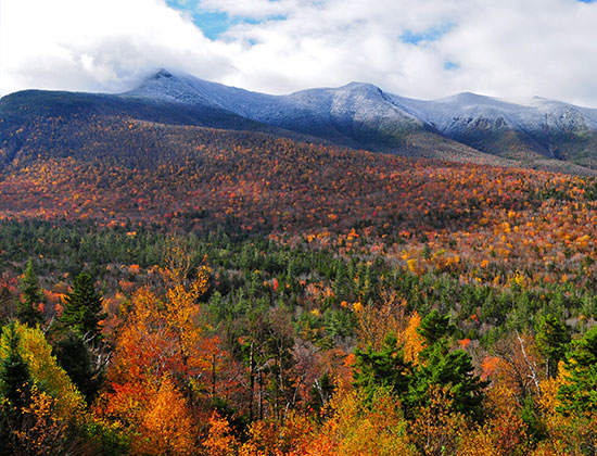 New Hampshire
