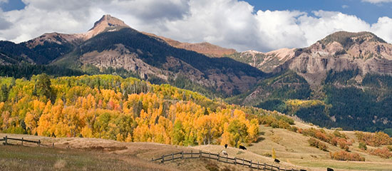 Resort Vacation Certificates