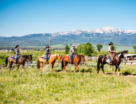 Traveling To Yellowstone National Park