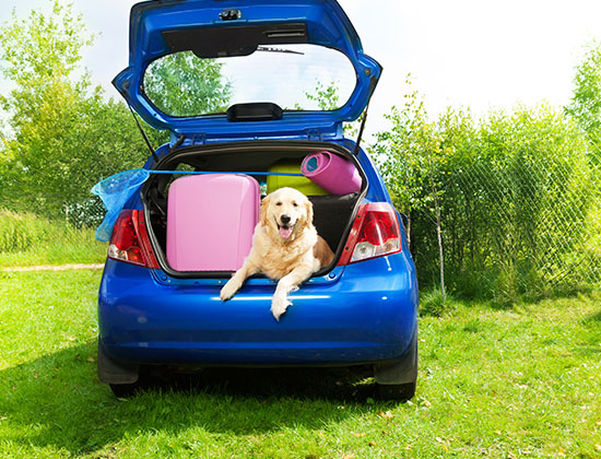 Vacation Packing Tips