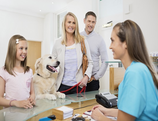 Pet Friendly Vacations