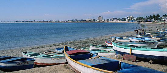 Mazatlan Resorts Afvclub Com